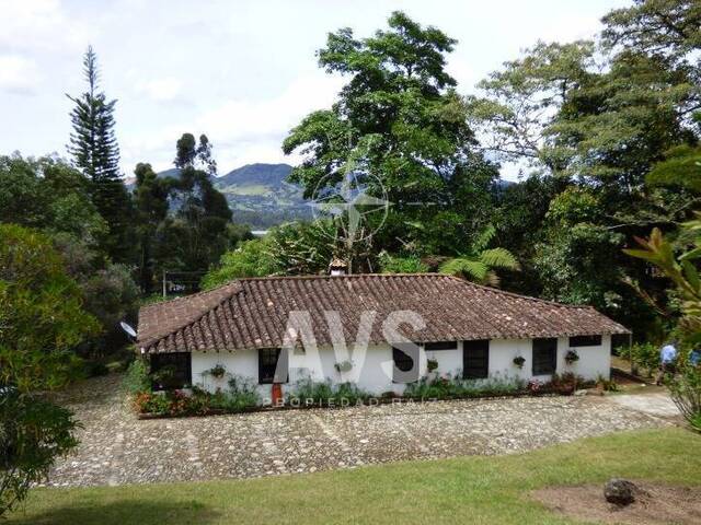 Venta en San Nicolas - La Ceja