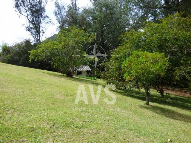 Finca para Venta en La Ceja - 3