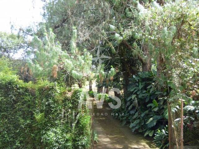 Finca para Venta en La Ceja - 4