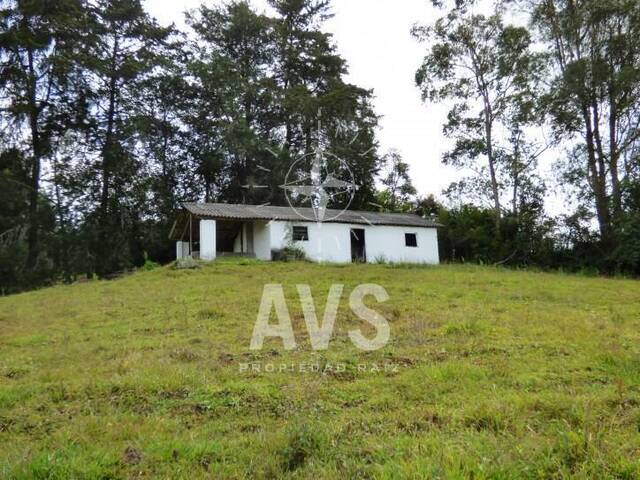 Finca para Venta en La Ceja - 5