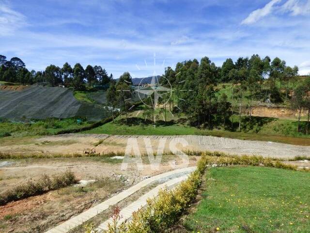 Terreno para Venta en Carmen de Viboral - 2