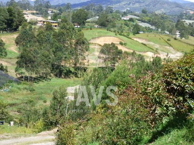 Terreno para Venta en Carmen de Viboral - 3