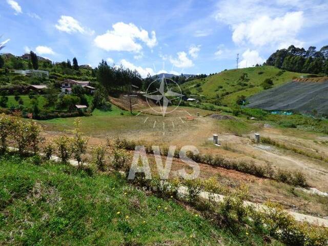 Terreno para Venta en Carmen de Viboral - 4