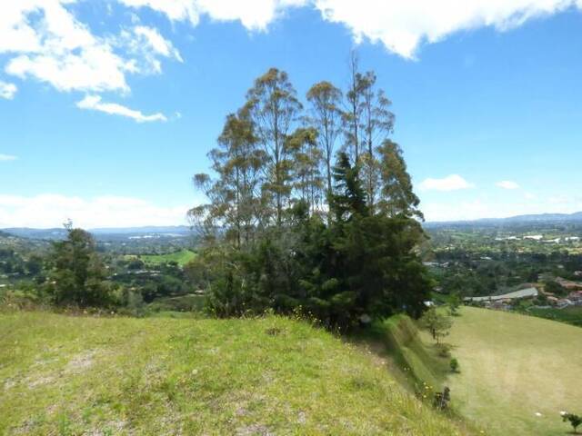 Terreno para Venta en Rionegro - 5