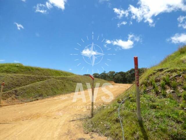 Terreno para Venta en La Ceja - 3