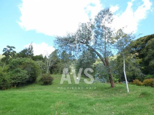 Terreno para Venta en Rionegro - 2