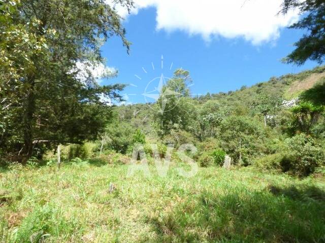 Terreno para Venta en Rionegro - 4