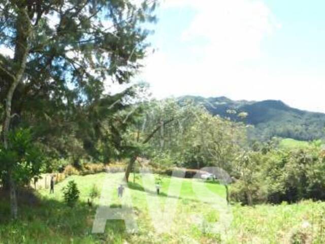 Terreno para Venta en Rionegro - 5