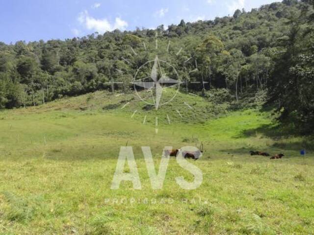 Terreno para Venta en Rionegro - 2
