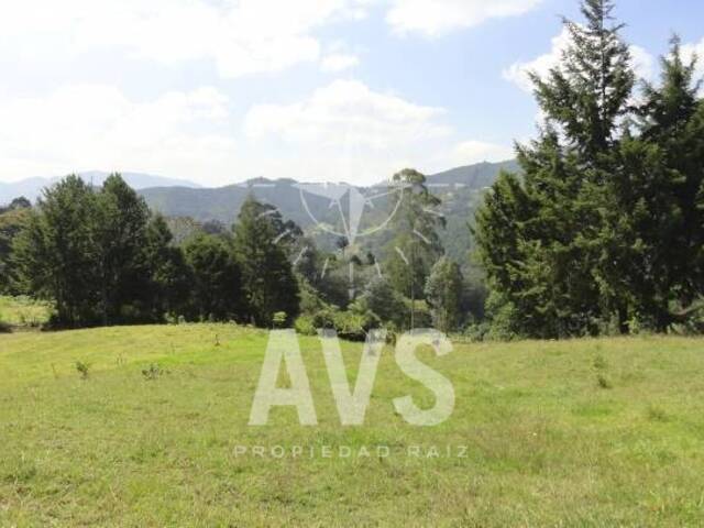 Terreno para Venta en Rionegro - 3