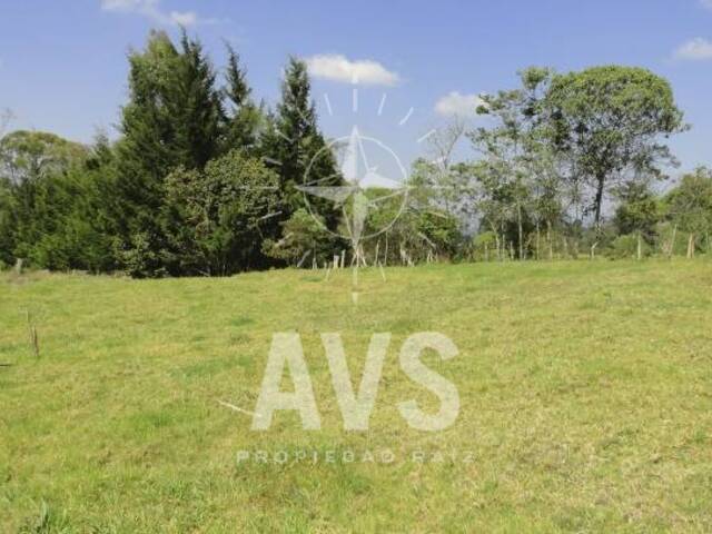 Terreno para Venta en Rionegro - 4