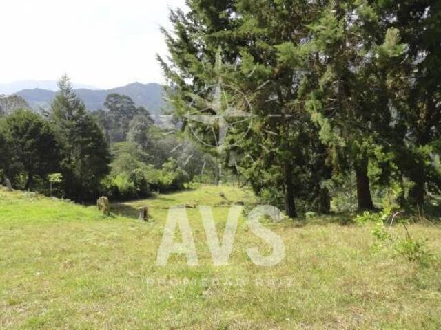 Terreno para Venta en Rionegro - 5