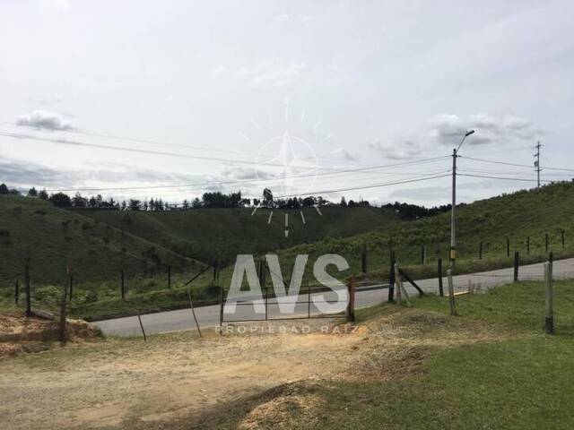 #1702 - Industrial para Venta en Rionegro - ANT - 3