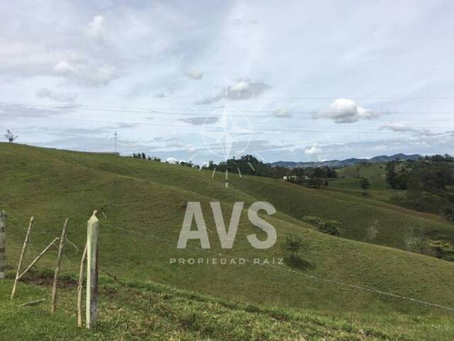 Industrial para Venta en Rionegro - 5