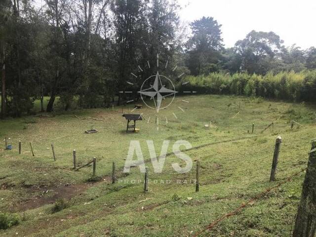 Finca para Venta en Rionegro - 4
