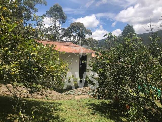 Finca para Venta en Rionegro - 5
