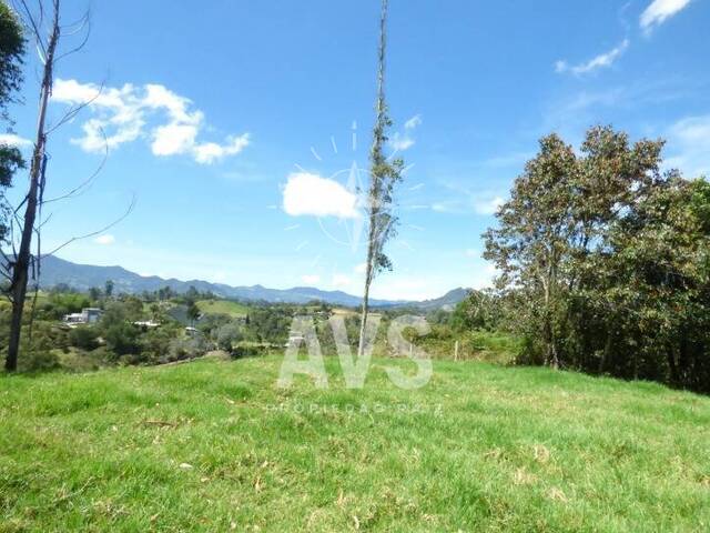 Terreno para Venta en Carmen de Viboral - 4