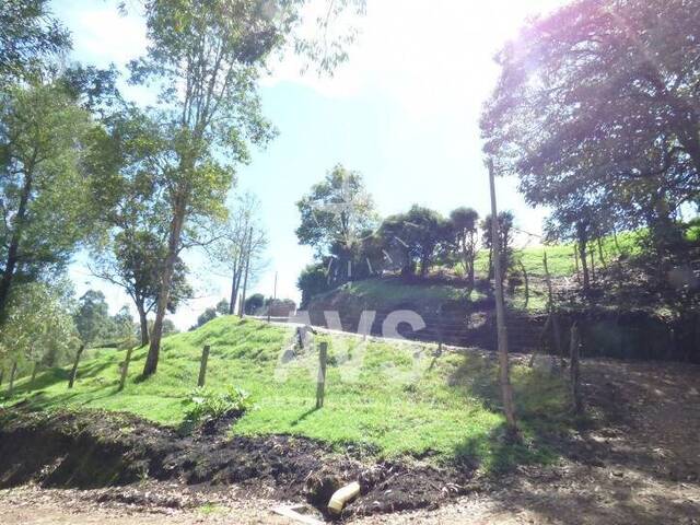 Terreno para Venta en Carmen de Viboral - 5