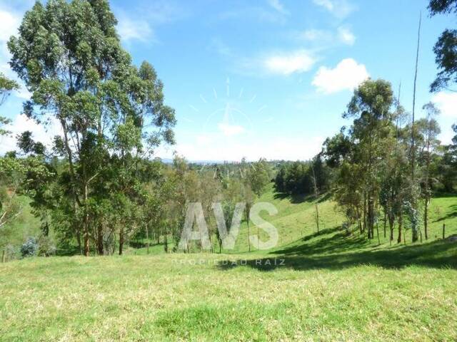 Venta en Vereda el salado - Carmen de Viboral