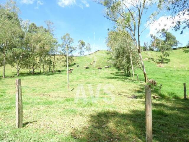 #2130 - Terreno para Venta en Carmen de Viboral - ANT - 3