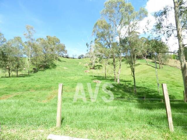 #2131 - Terreno para Venta en Carmen de Viboral - ANT - 2