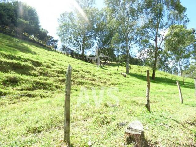 #2131 - Terreno para Venta en Carmen de Viboral - ANT - 3