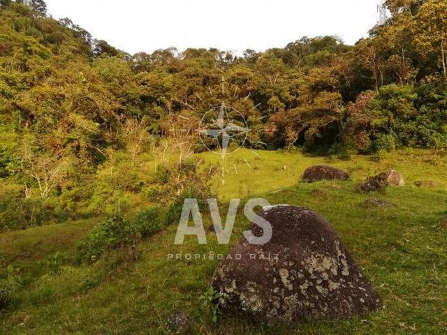 #2132 - Finca para Venta en Guatapé - ANT - 3