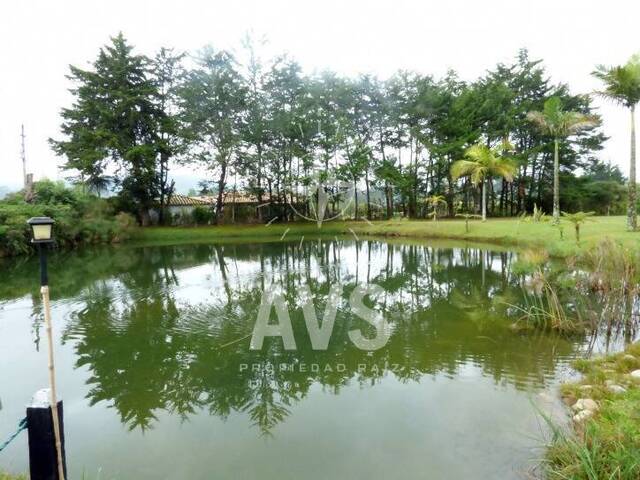 Finca para Venta en Rionegro - 4