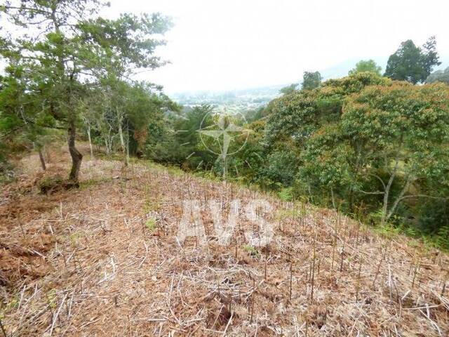 Terreno para Venta en La Ceja - 5