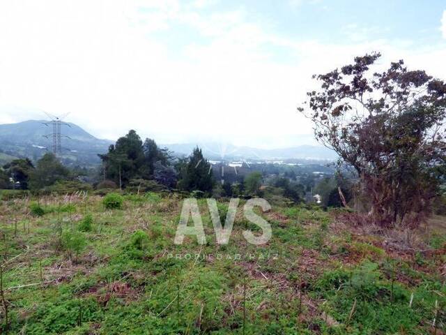 Terreno para Venta en La Ceja - 4