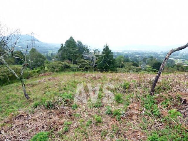 Terreno para Venta en La Ceja - 5