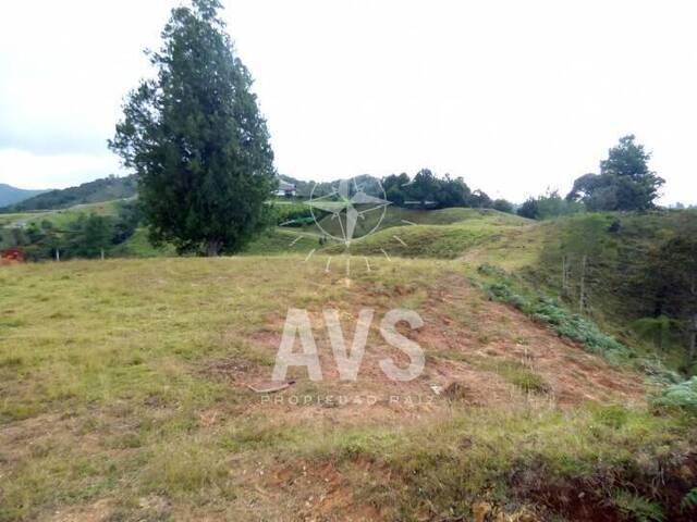Terreno para Venta en Retiro - 5