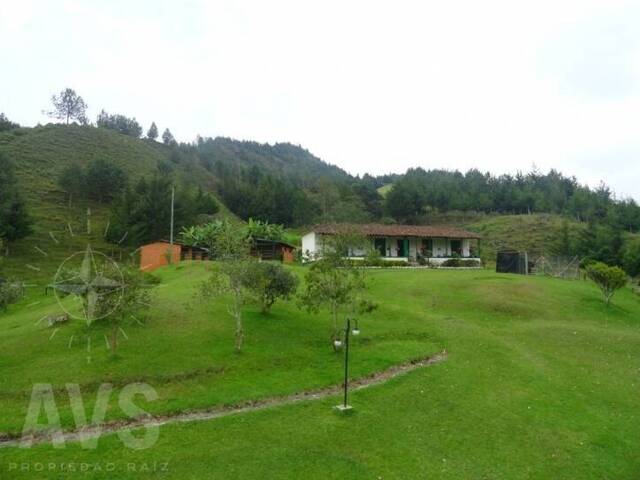 Terreno para Venta en Retiro - 3