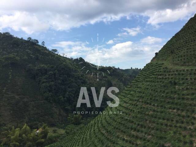 #2218 - Finca para Venta en Andes - ANT - 1