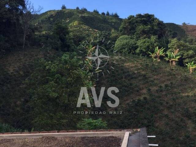 Finca para Venta en Andes - 4