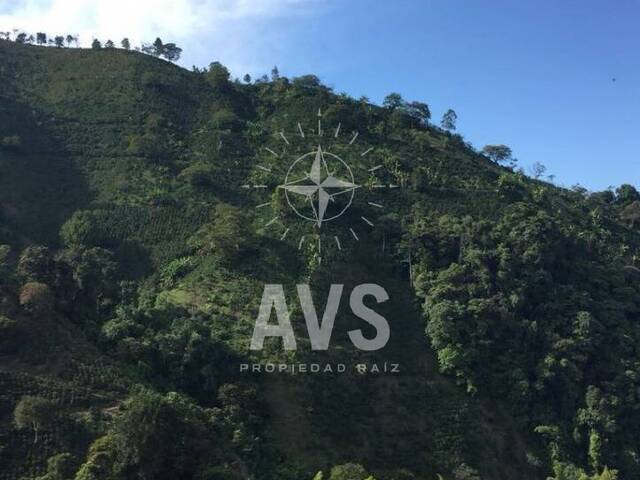 Finca para Venta en Andes - 5