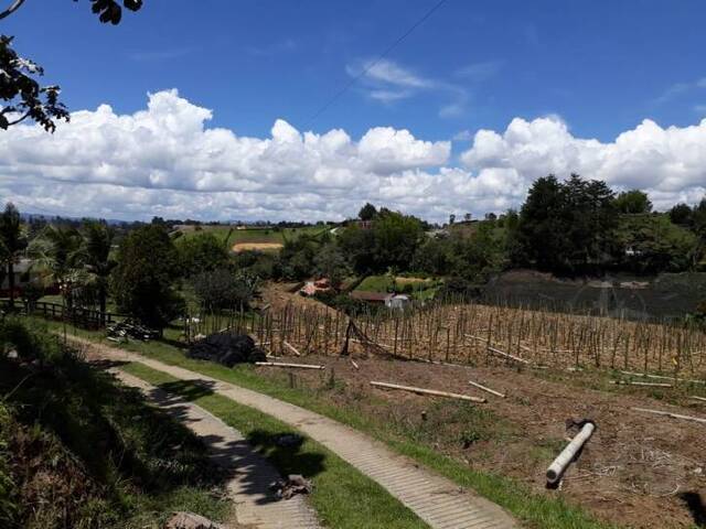 Terreno para Venta en Carmen de Viboral - 2