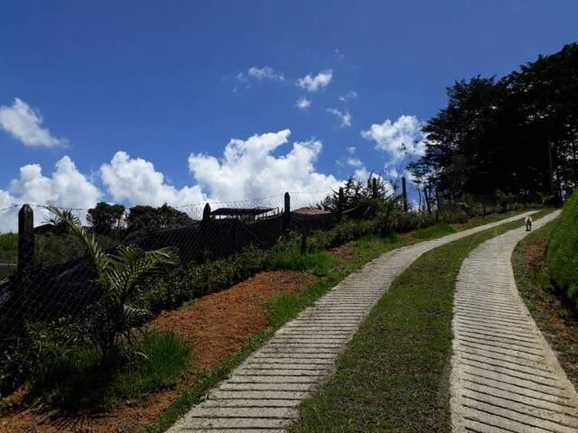Terreno para Venta en Carmen de Viboral - 3