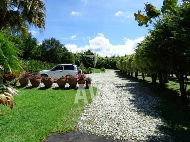 Finca para Venta en Rionegro - 4