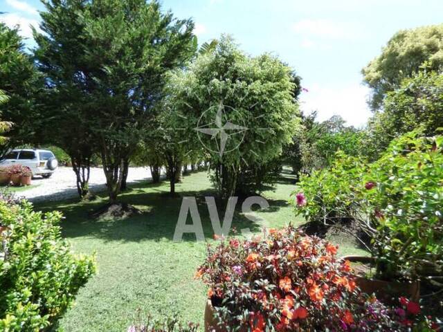 Finca para Venta en Rionegro - 5