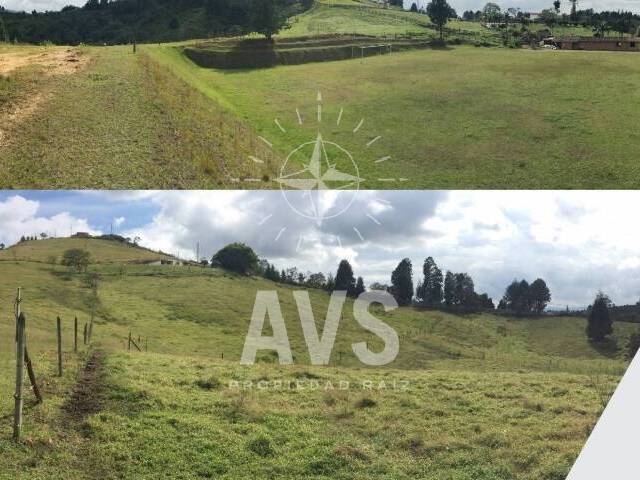 #2307 - Terreno para Venta en Guarne - ANT - 1