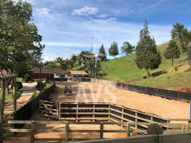 Finca para Venta en Carmen de Viboral - 4