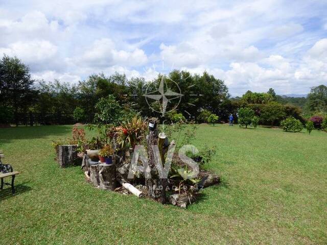 Finca para Venta en Rionegro - 4