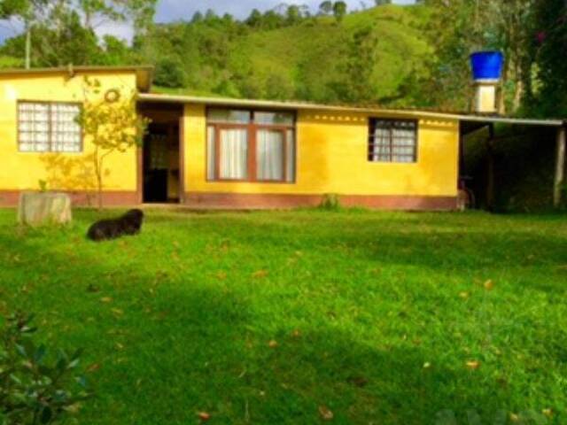 #437 - Finca para Venta en Retiro - ANT - 2