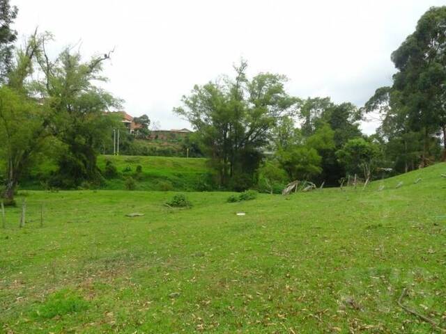 Terreno para Venta en Rionegro - 2