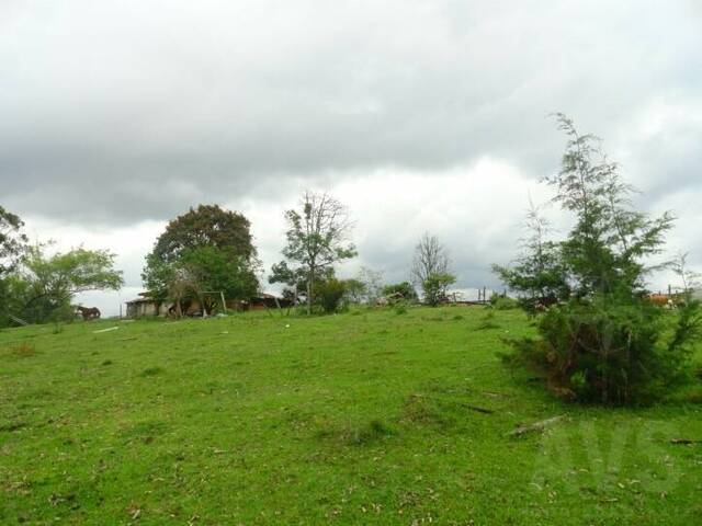 Terreno para Venta en Rionegro - 3