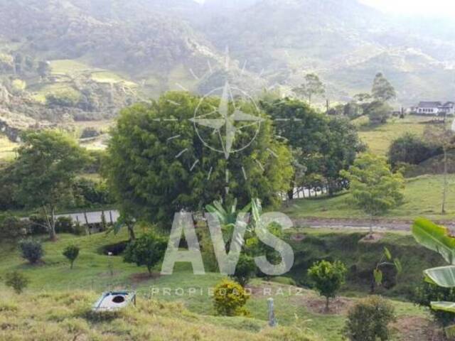 #2289 - Finca para Venta en Santuario - ANT - 2