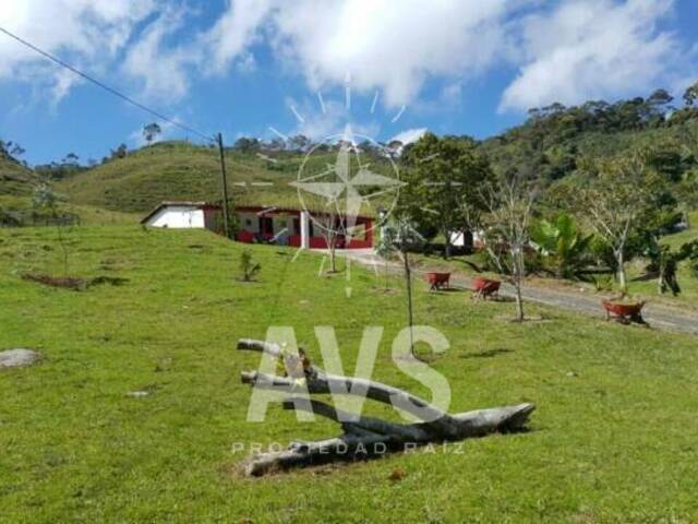 #2288 - Finca para Venta en Santuario - ANT - 2