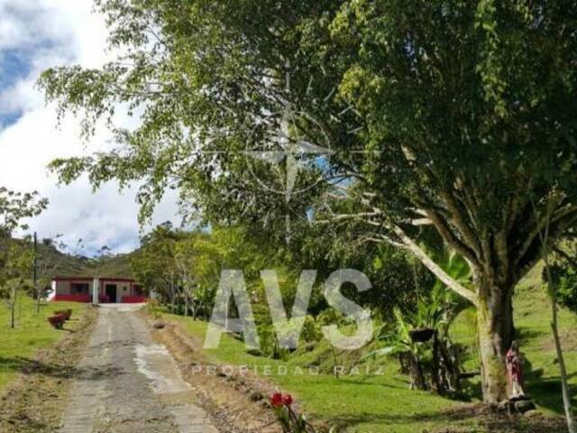 #2288 - Finca para Venta en Santuario - ANT - 3