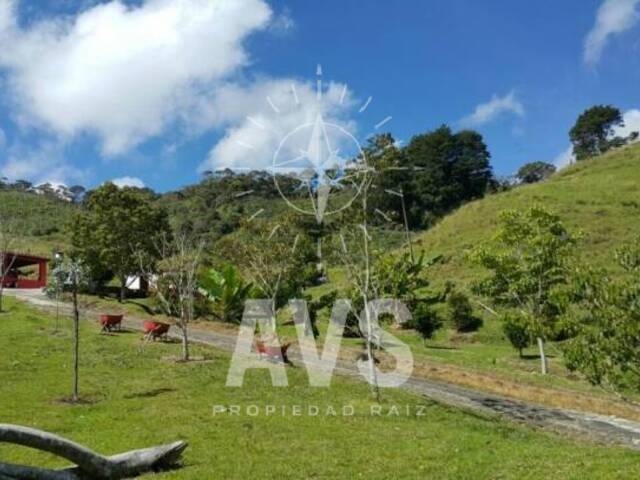 Finca para Venta en Santuario - 5